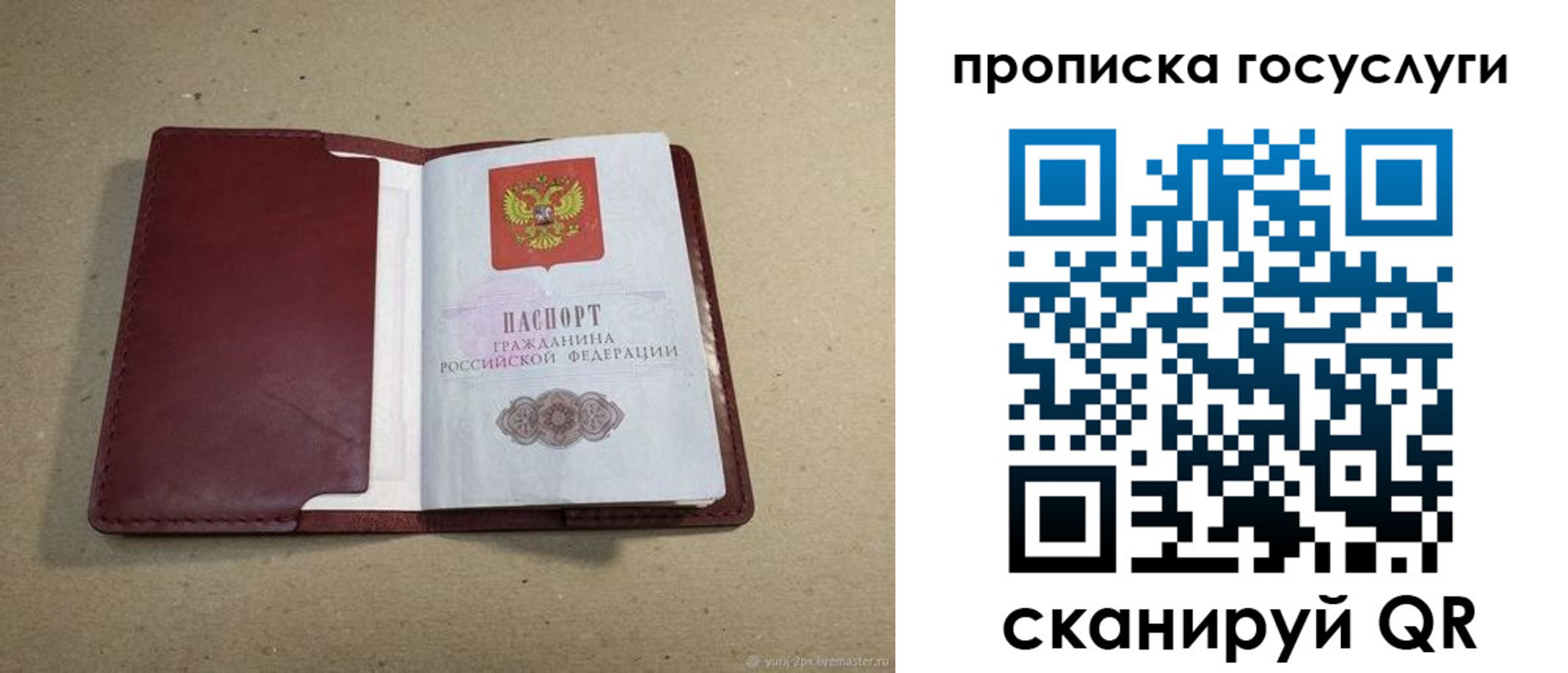 прописка поиск в Кеми